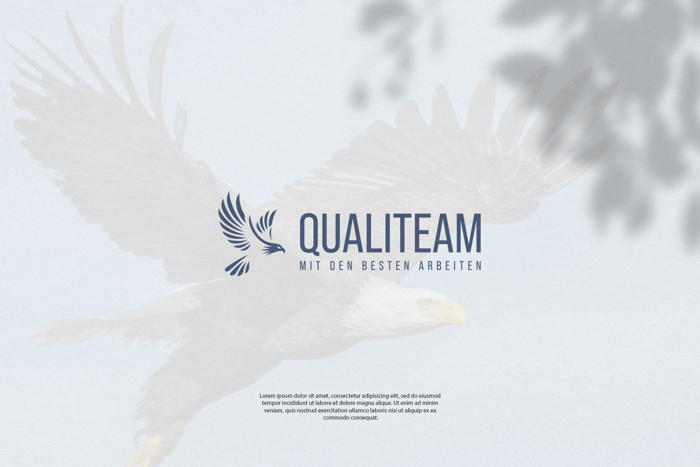 Qualiteam