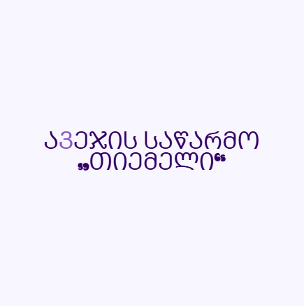 საწარმო „თი ემ ელი“