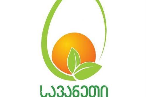 სავანეთი 99